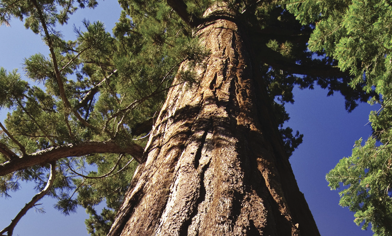 frequently asked questions about patient-centered care